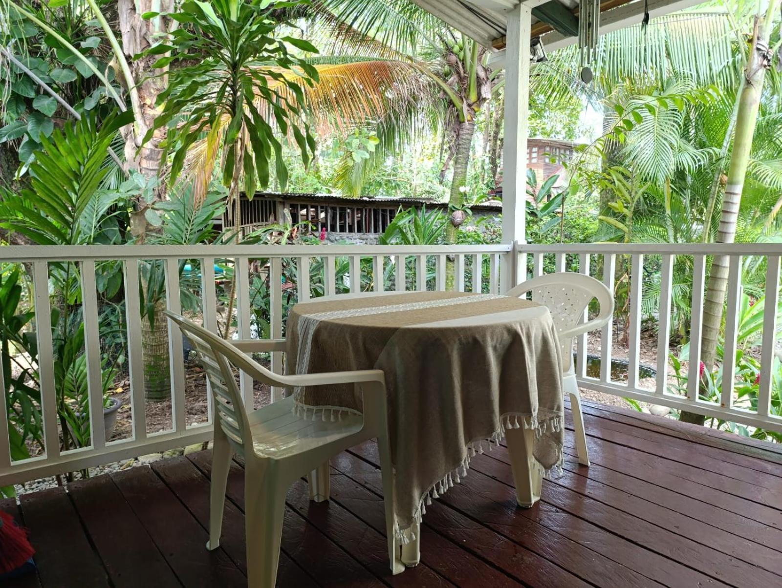 Santuarios Del Mar Apartment Bocas Town Luaran gambar